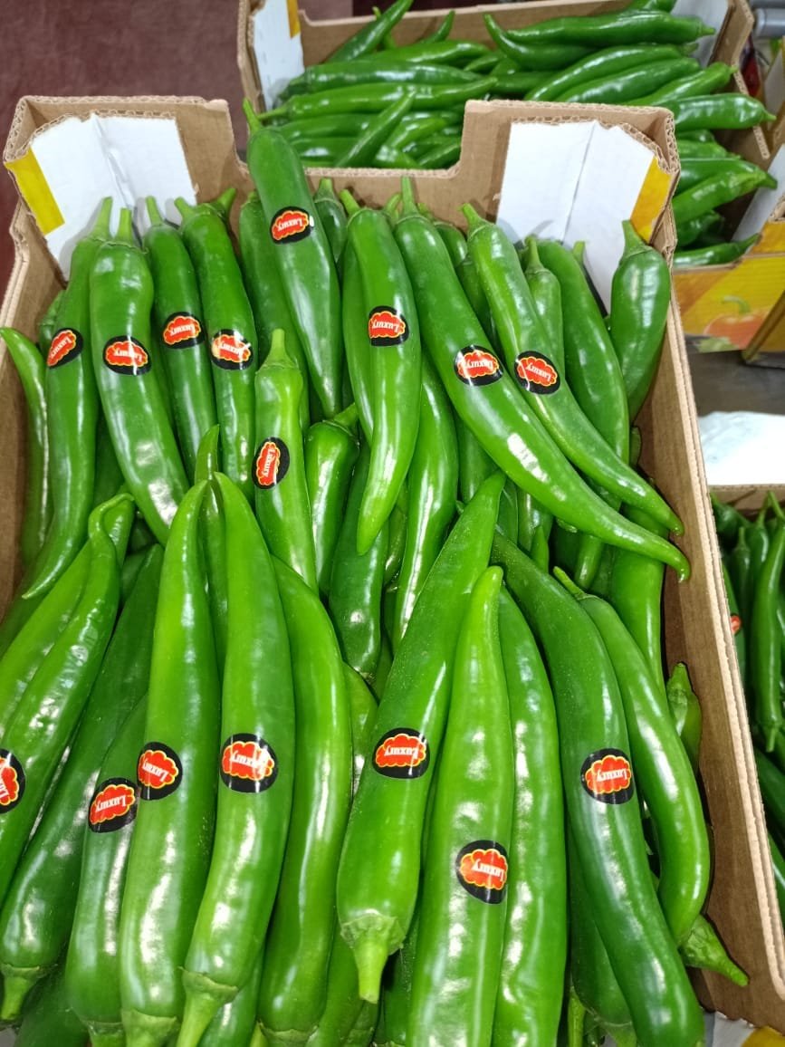 Piments verts longs étiquetés en carton export